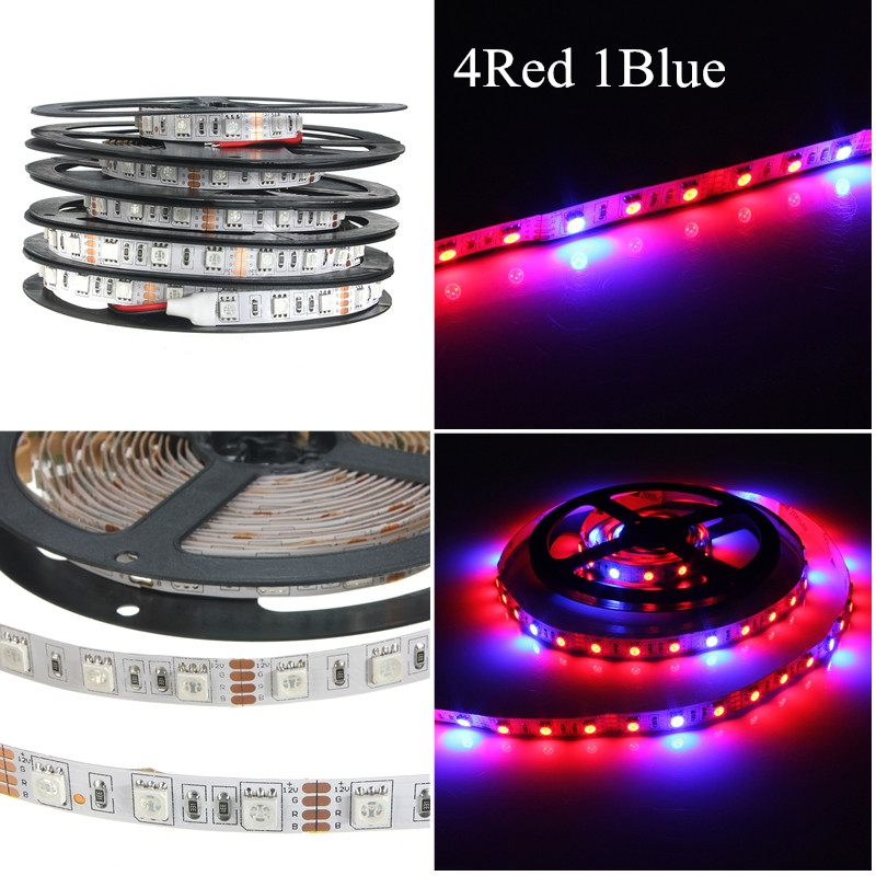 Red Blue 5050 Grow LED Strip Light Aquarium Greenhouse Hydroponic Plant 12W 12V - Foto 2 di 3