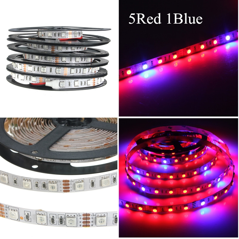 Red Blue 5050 Grow LED Strip Light Aquarium Greenhouse Hydroponic Plant 12W 12V - Foto 3 di 3
