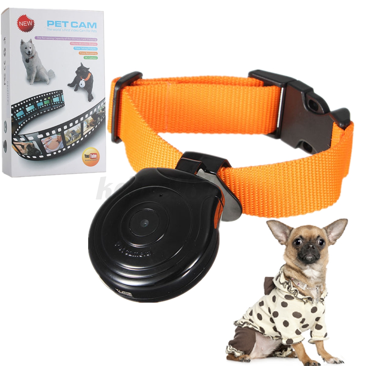 Digital Tierkamera Halsband Überwachung Kamera Brustgurt Gürtel für