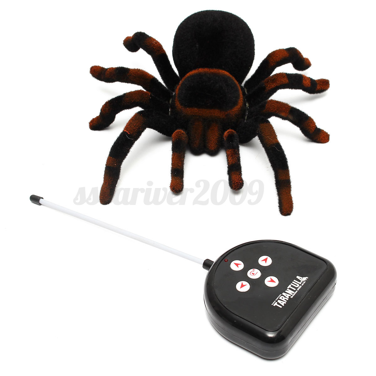 spiel spinne spiel spinne