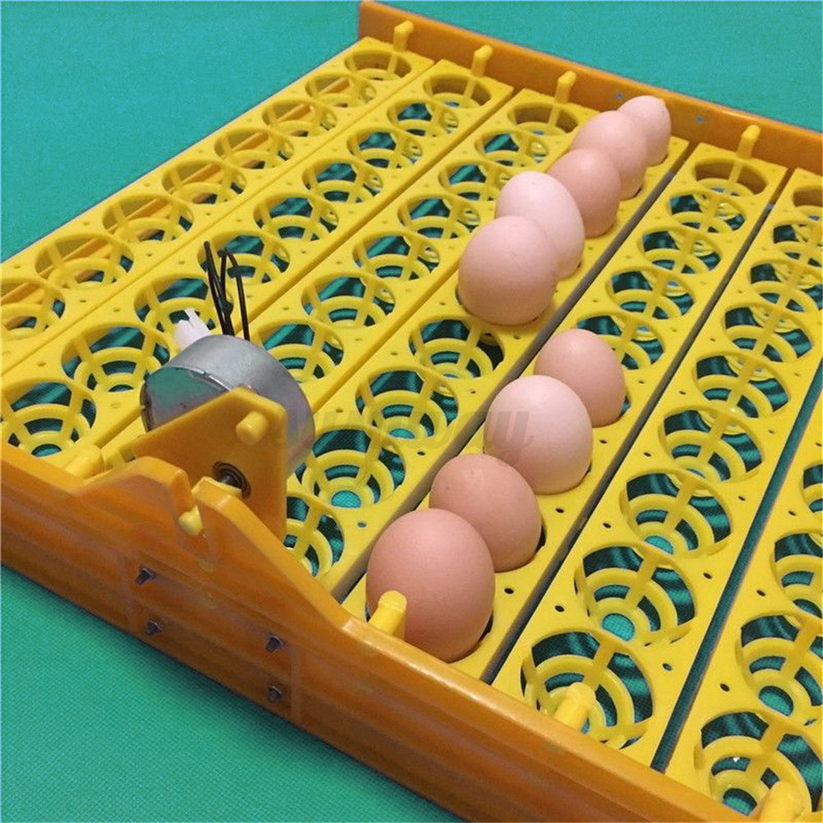 Turner Tray Automatic Incubator Chicken Duck Bird Poultry Hatch  eBay