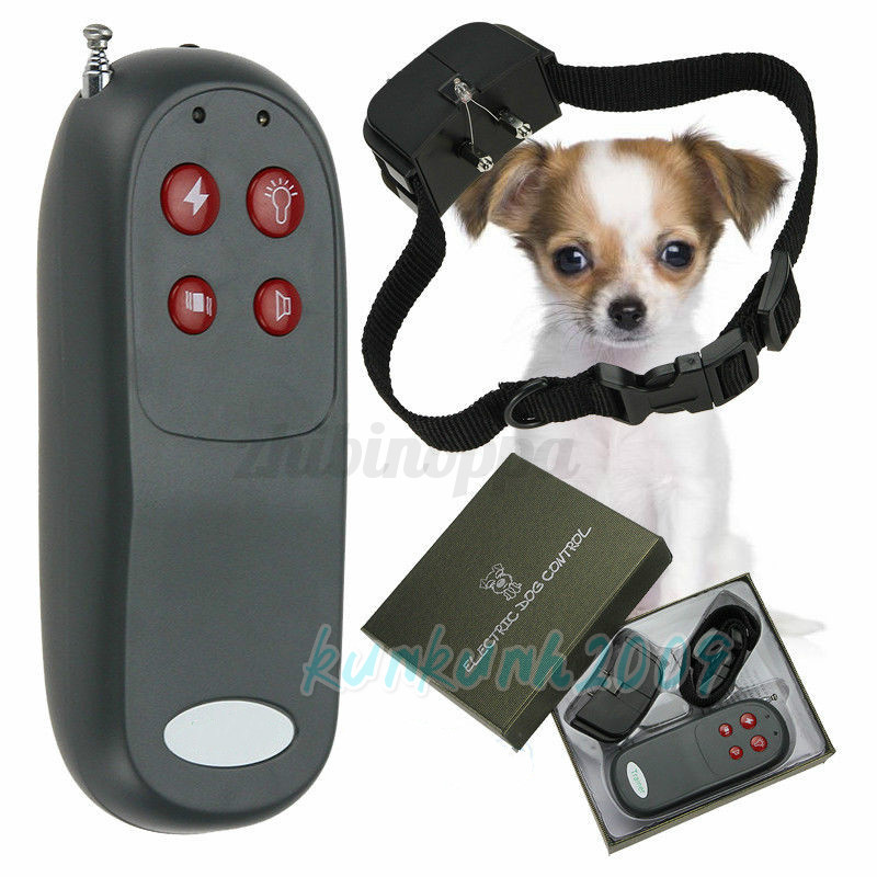 Dog Ed Shock Collar Dog Ed Shock Collar