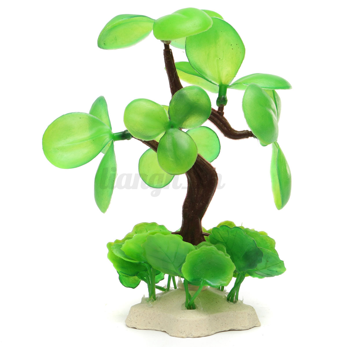 Poisson Chat Decor Aquarium Poisson Chat Decor Aquarium