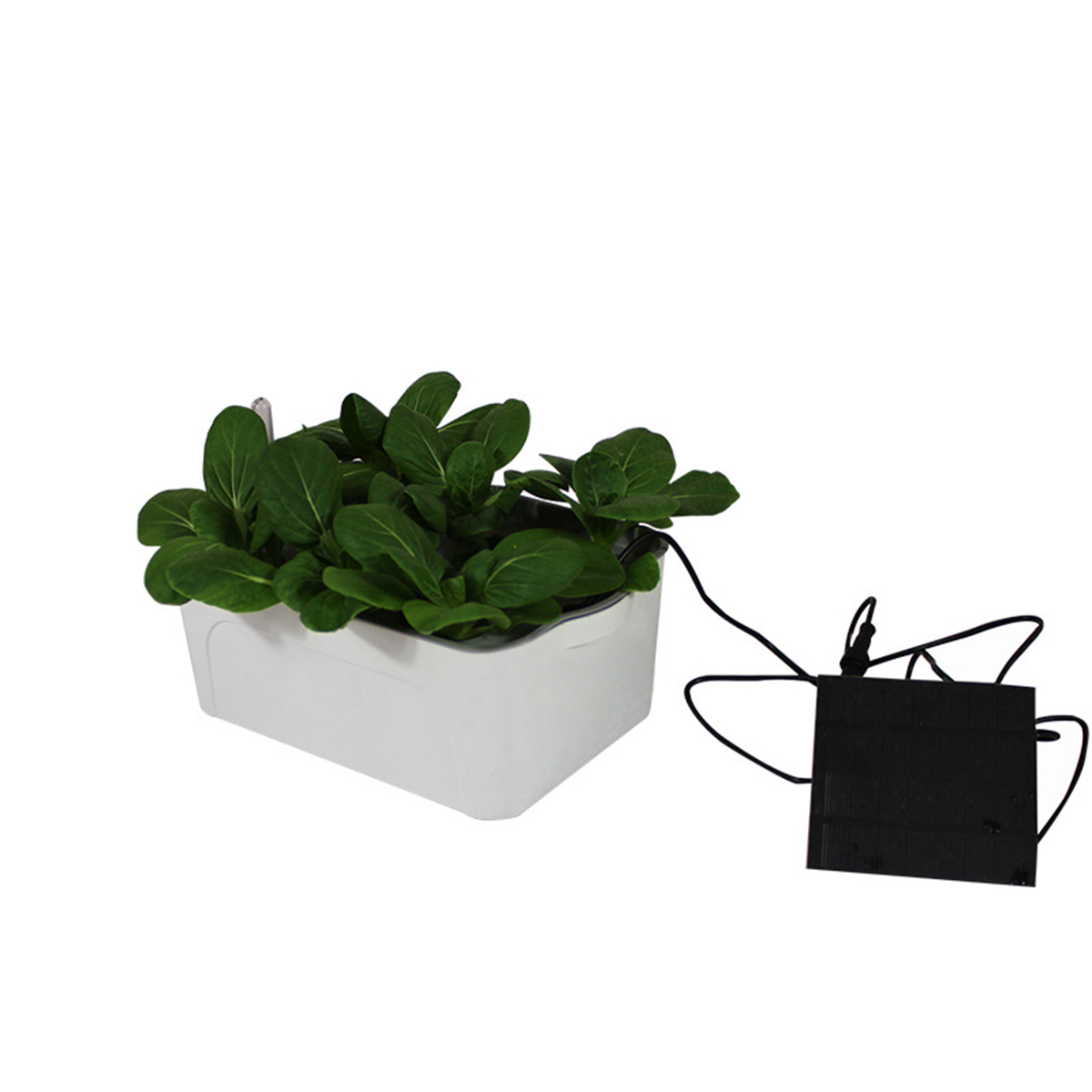 Pflanze Indoor Hydroponische System Wachsen Wasser Solar Deep Culture