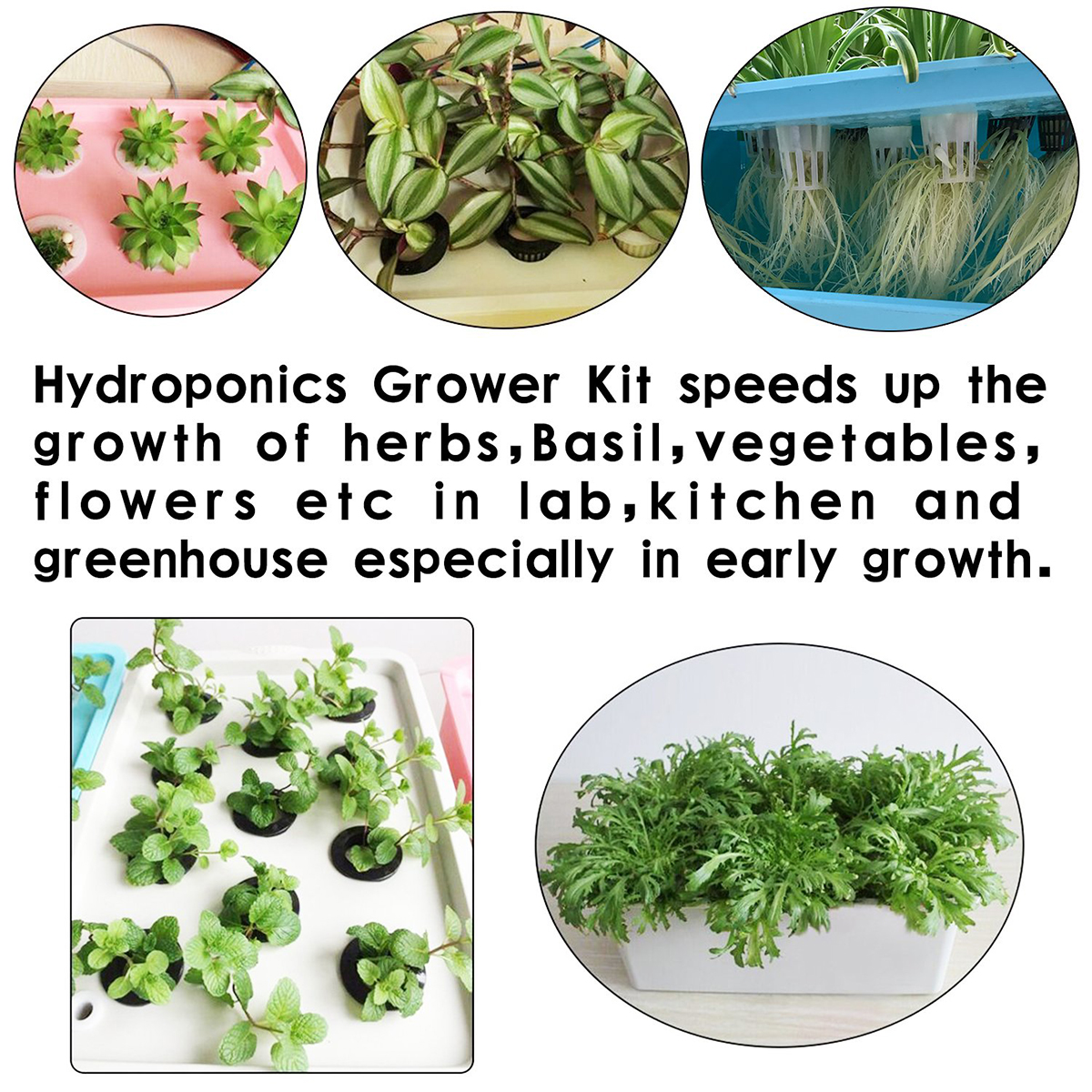 Pflanze Indoor Hydroponische System Wachsen Wasser Solar Deep Culture