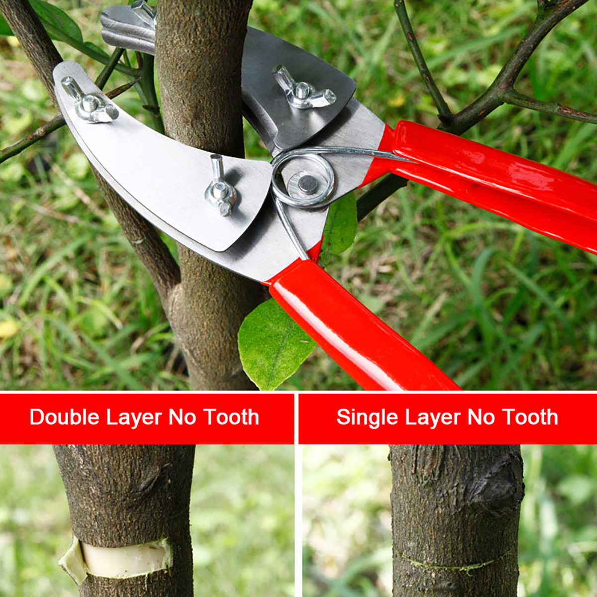 Fruit Tree Grafting Tools / Professional Grafting Tool Garden Fruit Tree Pruning ... : Pruning shears grafting cutting tool kit with film tape garden fruit tree plant.