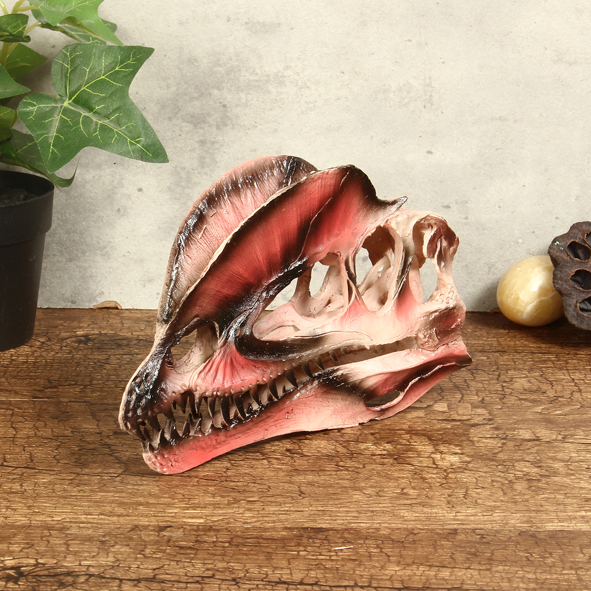 1:1 Resin Skull Model Dinosaur Replica Educational Teaching Collectible Decor