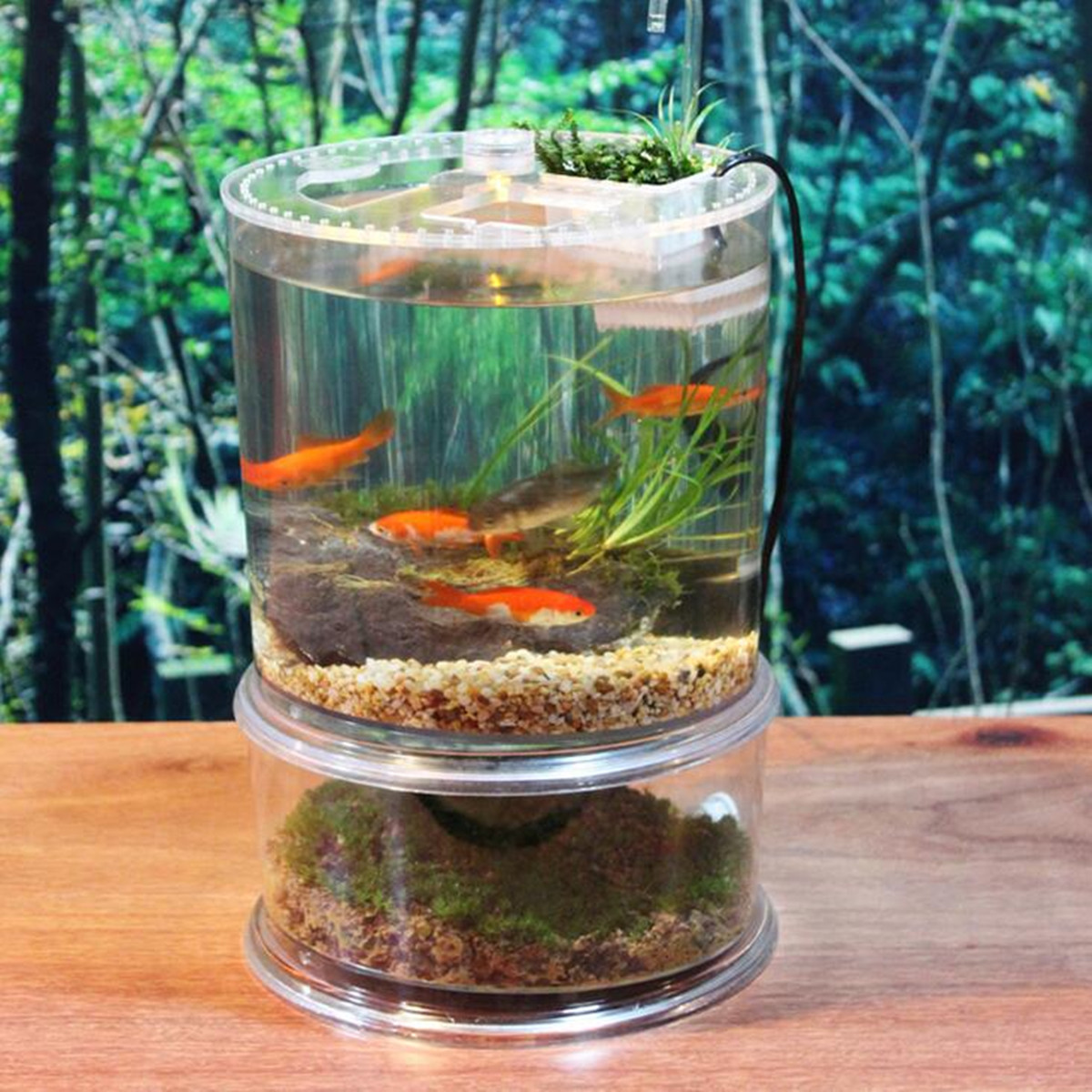 Mini Double Cylinder Clear Acrylic Turtle Fish Tank
