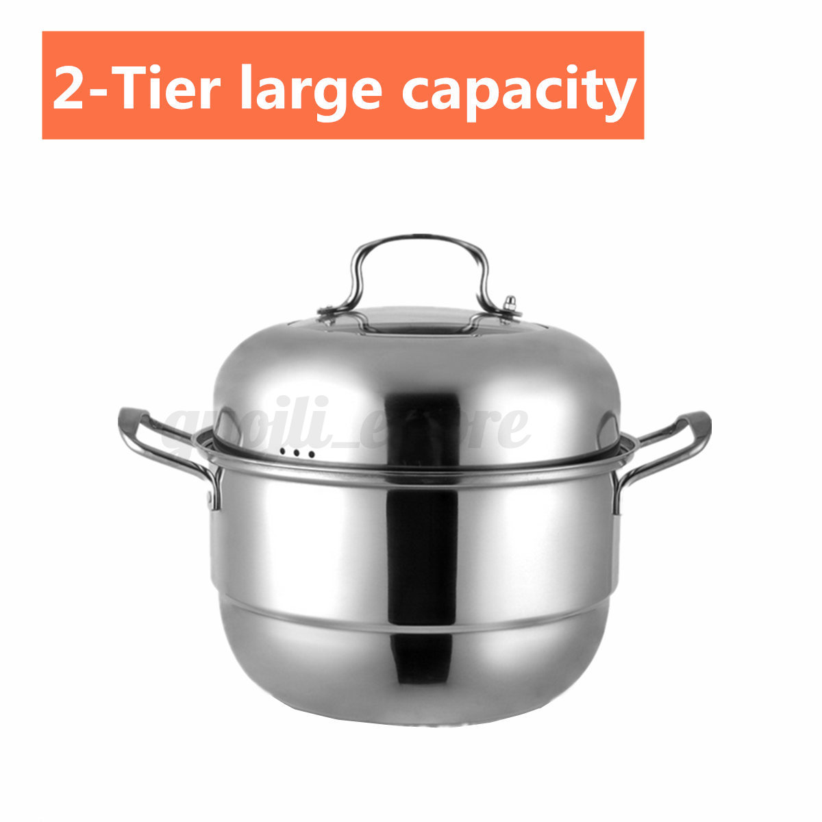 2 Tier Stainless Steel Food Vegetable Steamer Pot Induction Kitchen Multi 2 Tier Stainless Steel Food Vegetable Steamer Pot Induction Kitchen Multi